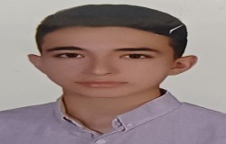 پارسا اروجی