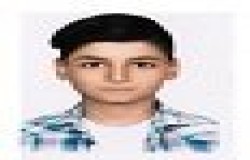 محمدحسین محمدی