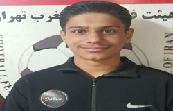 محمدرضا امینی