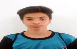 ایلیا کاشفی