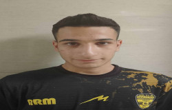 پارسا مسیب زاده