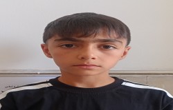 ایلیا آهنگری ارپاچای