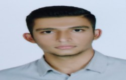 پارسا سیری