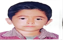 محمدجاوید شهرزاد