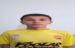 آراد حميدي