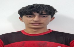 محمدحسین ارفعی