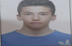 امیرعلی محمودی