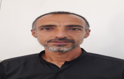 مجتبی پامسجدی
