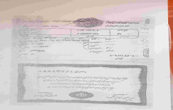 امیر طاها عرب