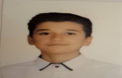 آرین قربانیان شارک