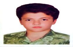 امیرحسین شریفی