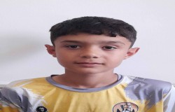 سینا عادلی