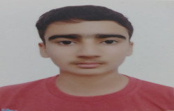 ایلیا انصاری