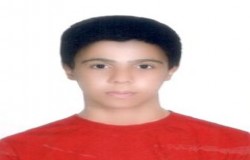 محمد جواد گنجی