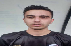 محمد امین شرفی