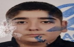 محمدحسام زارعی