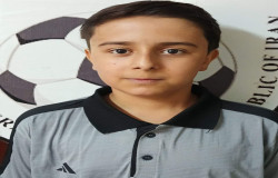 ایلیا محمدی