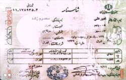 امیرعلی معصوم زاده