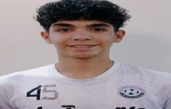محمد جواد نجفی