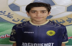 محمدپرهام نجفی