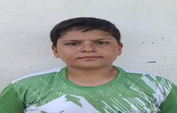 محمدرضا نوروزی