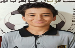 آراد شاهی
