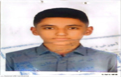 امیر علی مصطفوی دانشور