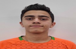 محمدجواد عباسقلی زاده