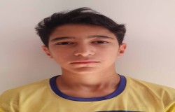 علیرضا ولدی