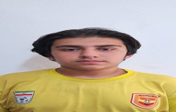 برديا گنجعلي