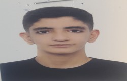امیر علی زارعی
