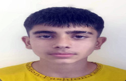 محمدرضا راشاد