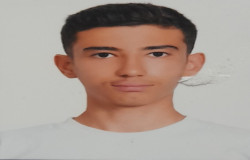 سید محمد رضا آصفی