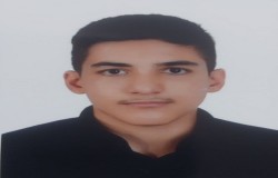علی رضا امرائی