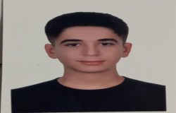 امیرطاها باقری انیلو