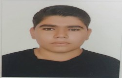 محمدامین لطفی
