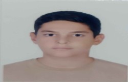 علی الماسی