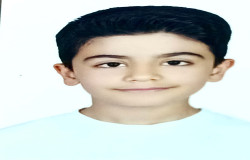 محمدپارسا سلیمانی