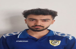 پارسا اسماعیلی