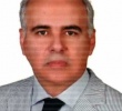 سید شمس الدین سید صدر