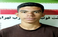 حمیدرضا نیکخواه بهرامی