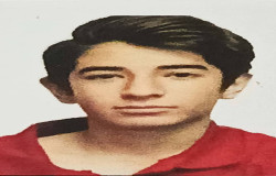 محمد امین فولادی