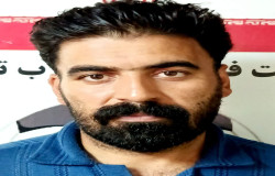 مجید سعادتی