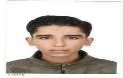 امیرعلی شاملو راد