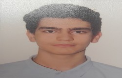 راستین اسدی