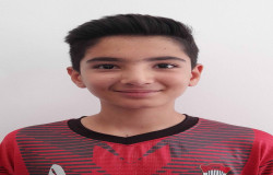 محمد رضا احترامی