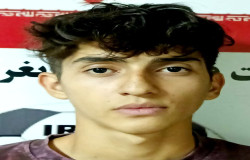 محمد امین عبدالله وند
