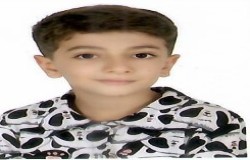 پویان محمدی