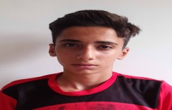 آرین محمدی والا