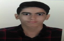شاهین آریش